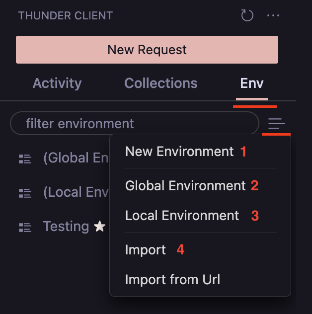 Thunder Client Environment Variables