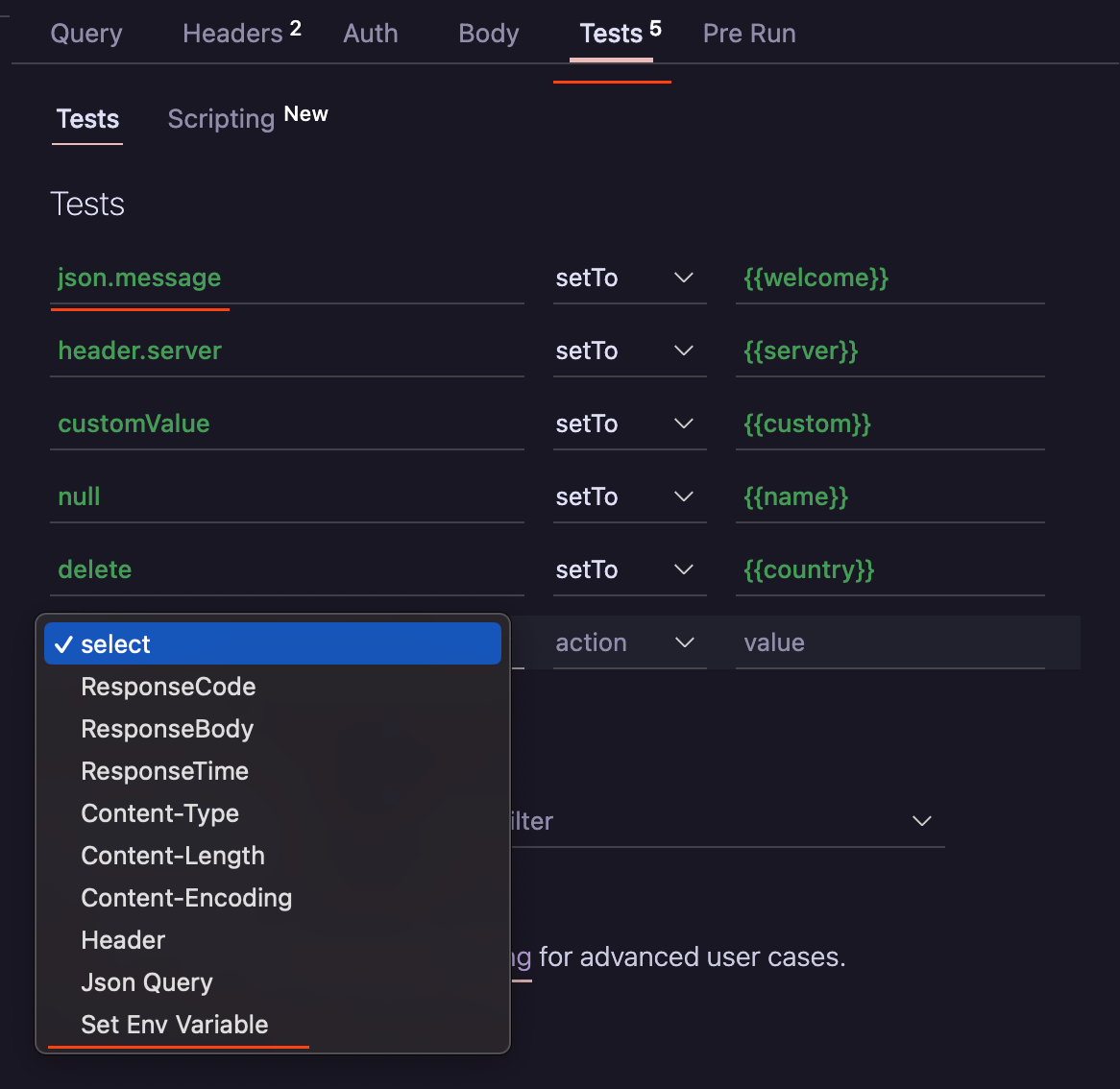 Set Env Variable