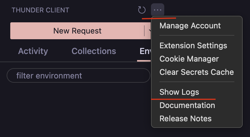 Thunder Client Logs